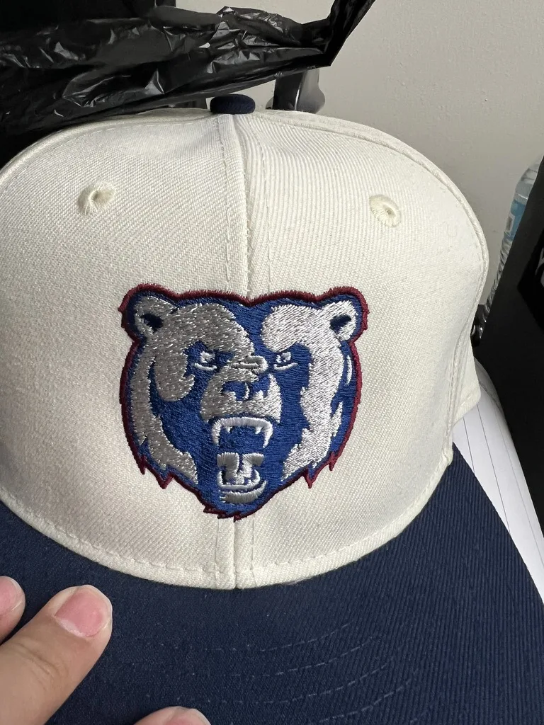 Bears snapback embroidery
